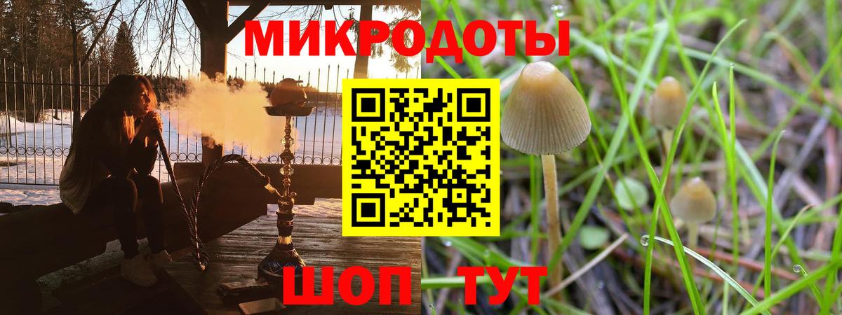 Дзержинск  Галлюциногенные грибы Cubensis  магазин    Вход с VPN 