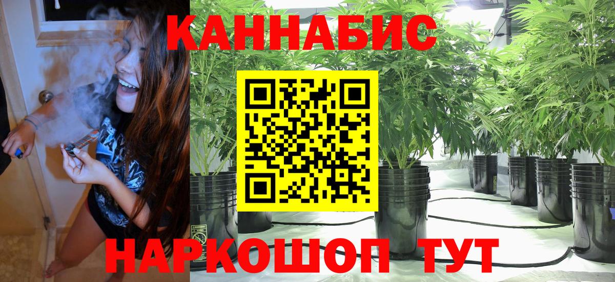Конопля план  Вход с VPN  Бошки марихуана сатива  Дзержинск  Конопля конопля 